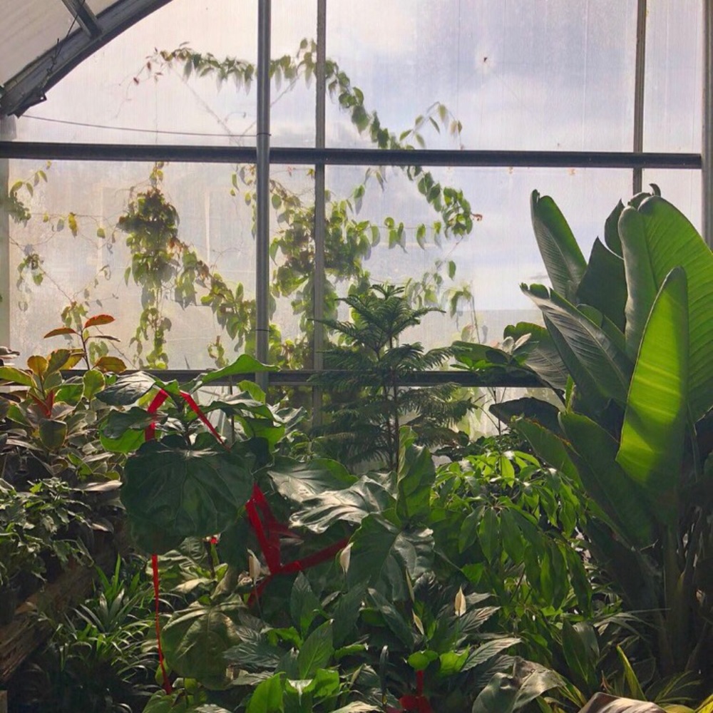 Meet your Posher, Katriel